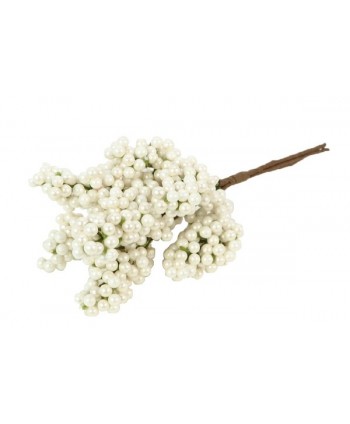 RAMILLETE BERRY ARONIA....