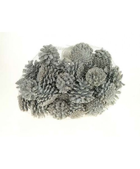 PIÑAS NATURALES BLANQUEADAS Ø 7-8cm. (1Kg./50u.)