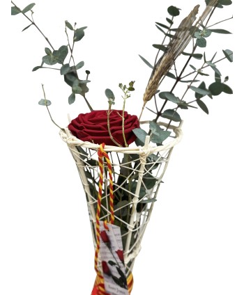 CONO DE MÉDULA BLANCO Ø 15....