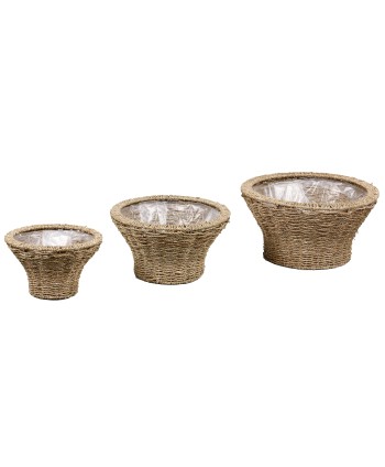 CESTA DE ALGAS MARINAS....