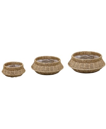 CESTA DE ALGAS MARINAS....