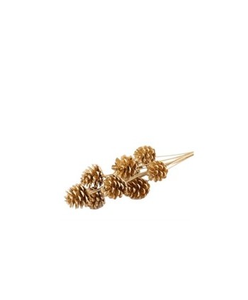 PICK DE PIÑA DE PINO....