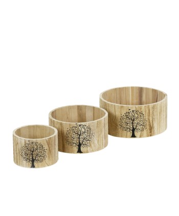 TEST DE FUSTA "ARBRE....