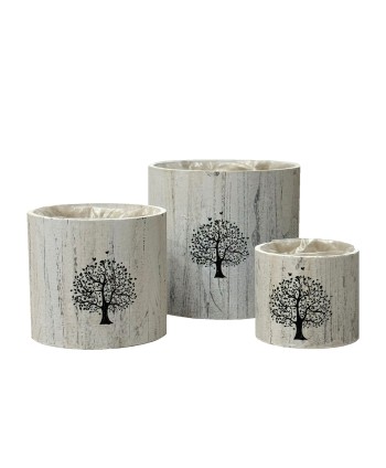 TEST DE FUSTA "ARBRE....