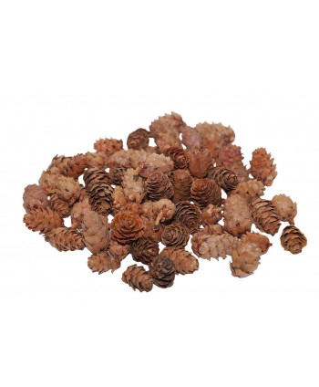 PIÑAS NATURALES BABY Ø....