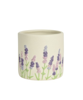 TEST DE CERÀMICA "LAVANDA"....