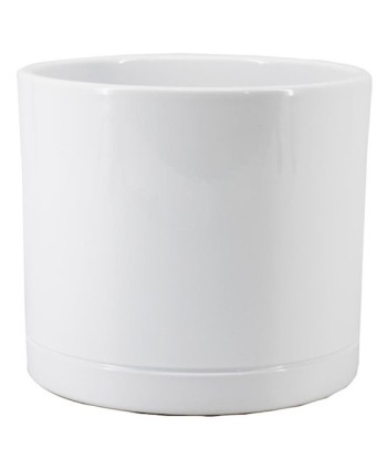 TEST DE CERÀMICA "LYNN"....