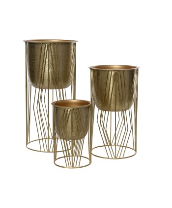 TEST DE ZINC RODÓ DAURAT....