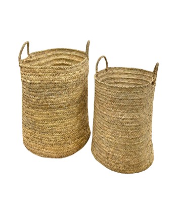 TEST DE PALMA RODÓ AMB 2....