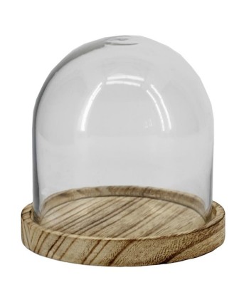 CÚPULA DE CRISTAL MINI Y....