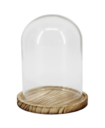 CÚPULA DE VIDRE MINI I....