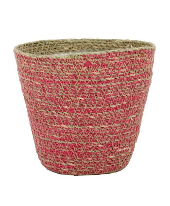 TEST DE JUTE I ALGUES....