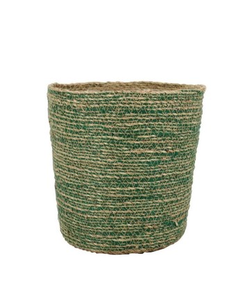 TEST DE JUTE I ALGUES....