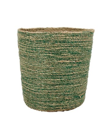 TEST DE JUTE I ALGUES....