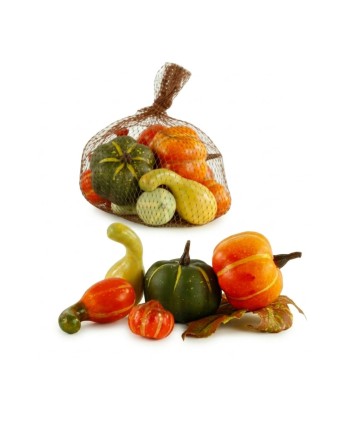 CALABAZA DE PLÁSTICO....