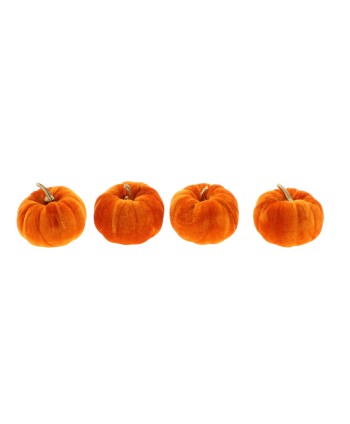 FRUTA SECA - CALABAZAS....