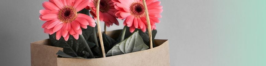 Bolsa para flor. Packaging de planta. Cajas de cartón. Bolsas bouquet.