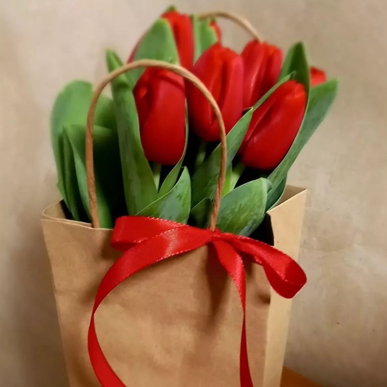 Bolsas y envoltorios para flores y plantas 
