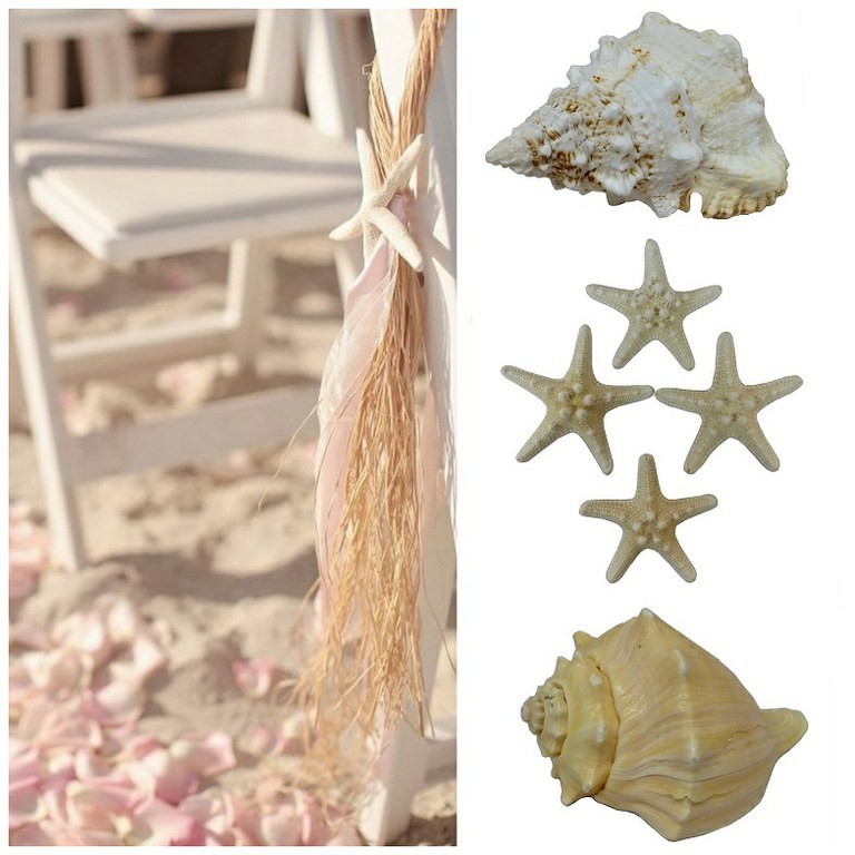 Estrelles, cargols de mar, petxines de mar, xarxa de pescador per a decoració de casaments, esdeveniments. Noces temàtica marinera Estrelles, cargols de mar, petxines de mar, xarxa de pescador per a decoració de casaments, esdeveniments. Noces temàtica marinera