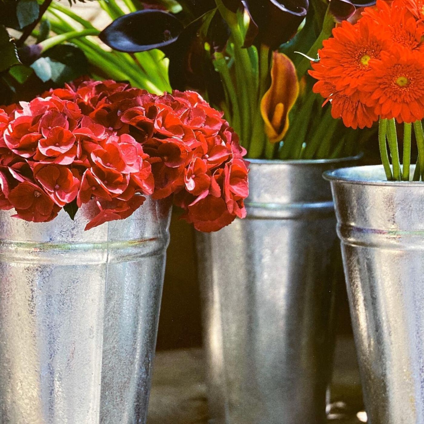 Florero Galvanizado de Zinc – Expositor para flores 