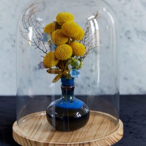 Les cúpules de vidre preferides per a composicions florals amb l'arribada de la calor